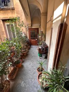 ナポリにあるRicomincio Da Quiの鉢植えが多い廊下
