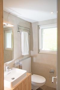 a bathroom with a sink and a toilet and a window at Ferienhaus mit Garten Tgease Schilendra-Lantsch-Lenz-Lenzerheide in Lenz