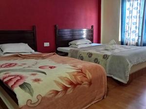 two beds sitting next to each other in a room at Hotel Holidays Inn - Bagpacker's Home in Sauraha