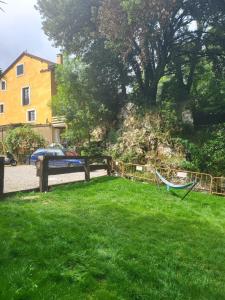 um quintal com uma rede na relva em el BOSQUE MAGICO em Piñeres