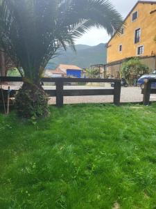 uma cerca com uma palmeira na relva em el BOSQUE MAGICO em Piñeres