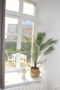 Afbeelding uit fotogalerij van T2 a Couvent Des Cordeliers in Autun