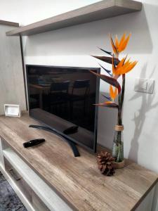 Telewizja i/lub zestaw kina domowego w obiekcie APARTAMENTOS La PEÑA C