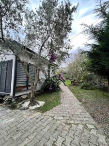 una casa con un albero accanto a un marciapiede di mattoni di Beyaz Zambak'ta doğayı yaşayın a İznik