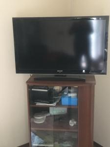 TV a/nebo společenská místnost v ubytování Apartmaji Velikonja