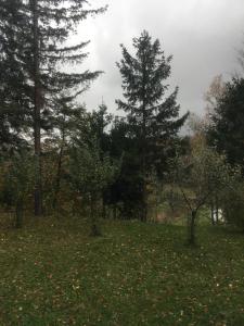 Příroda nedaleko apartmánu