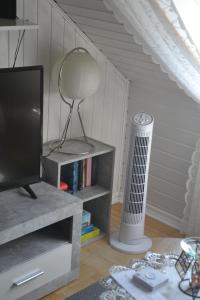 uma sala de estar com televisão e aquecedor em DG-Zimmer em Colônia