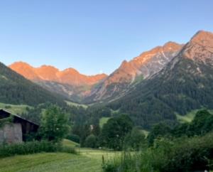 a view of a valley with mountains in the background at Mittelberg Ferienwohnung in Mittelberg
