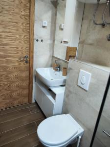 La salle de bains est pourvue de toilettes blanches et d'un lavabo. dans l'établissement Maxx Apartmani Obucina Kapije, à Jahorina