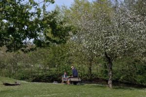 un homme et une femme assis sur un banc de parc sous un arbre dans l'établissement Grijzegraaf vakantiewoning Voerstreek, à Fourons