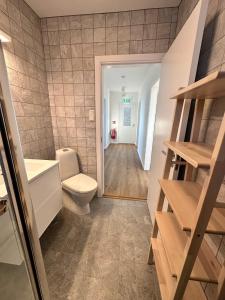 a bathroom with a toilet and a hallway at Apartment Fernsicht in Borgarnes