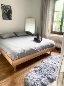 a bed in a bedroom with a mirror and a rug at Chambre double vue lac Montreux centre in Montreux