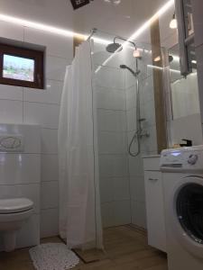 a bathroom with a shower with a toilet and a washing machine at Relaksówka 