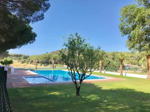 a tree in the grass next to a swimming pool at Greenchalets Costa Brava Palamos in Palamós