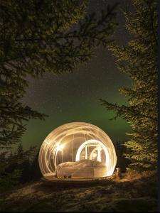 a glass dome is lit up under the stars at Buubble Hotel - Ölvisholt in Selfoss