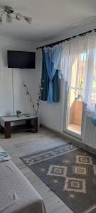 a living room with a bed and a window at Apartament Eduard in Orşova