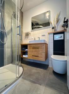 a bathroom with a sink and a toilet and a shower at Ferienhaus Ella in Trautskirchen