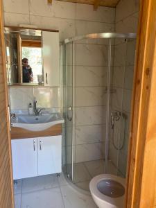 y baño con ducha, lavabo y aseo. en Assos Green Bungalow, en Ayvacık