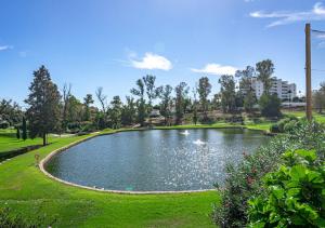 un estanque en medio de un parque en Guadavillas 320, en Marbella