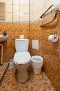 Balvi Hotel في بالفي: حمام مع مرحاض ومغسلة