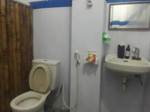 Vannituba majutusasutuses fullesguesthouse