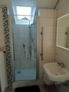 La salle de bains est pourvue d'une douche et d'un lavabo. dans l'établissement Charmante Wohnung, à Aalen