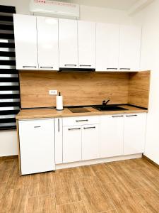 Kuchyň nebo kuchyňský kout v ubytování Kiko apartmani LUX