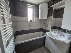 a bathroom with a sink and a bath tub and a sink at Dvůr Radouš in Hostomice