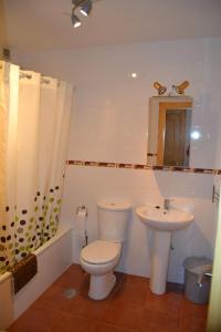 La salle de bains est pourvue de toilettes et d'un lavabo. dans l'établissement Apartamento en picos de europa, à Carreña de Cabrales