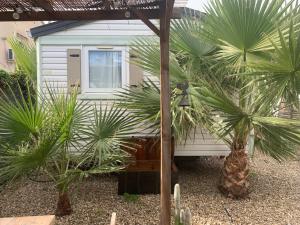 a house with two palm trees in front of it at Nice little house in Barcelona