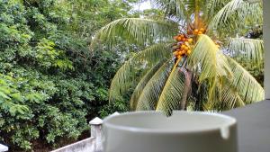 Taman di luar Dovass Self Catering Apartments