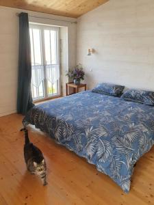 kot stojący obok łóżka w sypialni w obiekcie Le Chai Rit w mieście Rivedoux-Plage