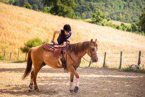 Hesteridning på feriegården eller i nærheten