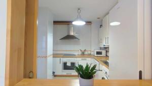 uma cozinha com electrodomésticos brancos e um vaso de plantas em Apartamento en Miño em La Coruña