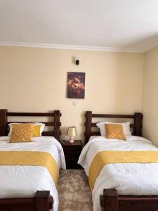 a bedroom with two beds and a lamp in it at Exquisite two bedroom Penthouse-Fully Furnished in Kitale