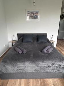a large bed with two purple pillows on it at Apartament Stary Szczecin in Szczecin