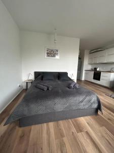 Una cama grande en un dormitorio con suelo de madera. en Apartament Stary Szczecin, en Szczecin 21 fotos más