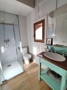 ein Bad mit einem Waschbecken, einer Dusche und einem WC in der Unterkunft Turisme Rural Ca l'Axai casa 2 in Pi