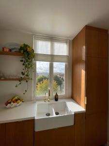 een keuken met een wastafel en een raam bij Grand appartement Haussmannien à 12 min de Paris - Proche Stade de France - Jeux Olympiques 2024 in Enghien-les-Bains