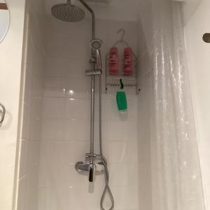 eine Dusche mit Duschkopf im Bad in der Unterkunft La Ruche in Theil-Rabier