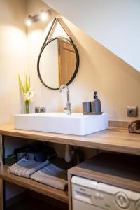 a bathroom with a sink and a mirror at La grange du hameau in Saint-Lary-Soulan