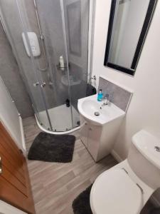 a bathroom with a shower and a toilet and a sink at Glenariff Forest Getaway in Glenariff
