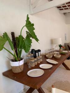 einem Holztisch mit Platten und einer Pflanze darauf in der Unterkunft Pousada Manacá Exclusive Suítes in Rifaina