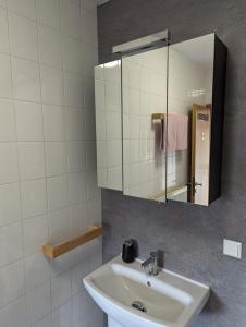 a bathroom with a sink and a mirror at K-TOWN GREEN Studio Apartment in Kaiserslautern