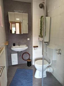 a bathroom with a toilet and a sink at K-TOWN GREEN Studio Apartment in Kaiserslautern