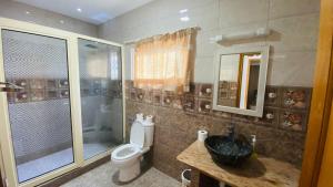 a bathroom with a toilet and a shower and a sink at HORIZON selfcatering in Beau Vallon +46 photos