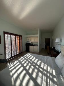 Tahitian Inn Boutique Hotel Tampa房間的床