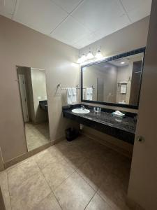 Tahitian Inn Boutique Hotel Tampa衛浴