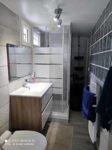 a bathroom with a sink and a shower and a toilet at 10 min to Disneyland Paris, a T3 renewed in a big house, all equiped for 4 or 6 persons in Collégien
