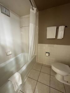 Tahitian Inn Boutique Hotel Tampa衛浴